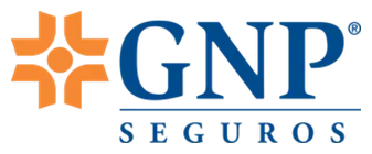GNP